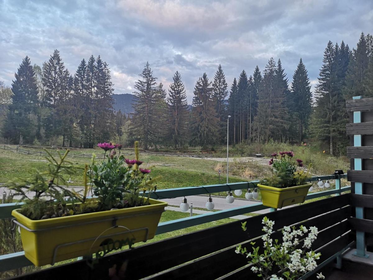 The Evergreen Nest - Silver Mountain Пояна-Брашов Екстер'єр фото