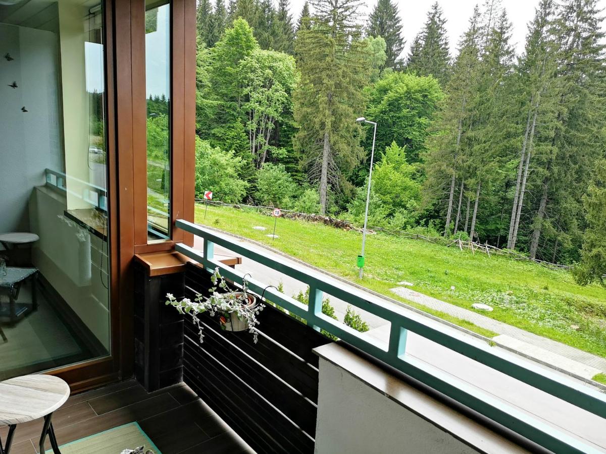The Evergreen Nest - Silver Mountain Пояна-Брашов Екстер'єр фото