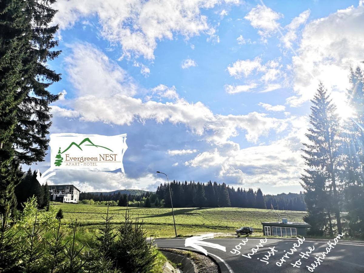 The Evergreen Nest - Silver Mountain Пояна-Брашов Екстер'єр фото