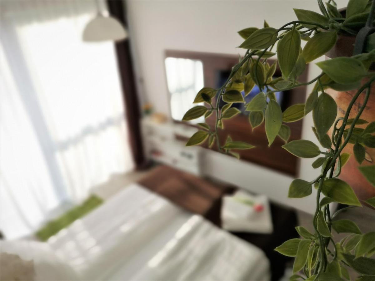 The Evergreen Nest - Silver Mountain Пояна-Брашов Екстер'єр фото
