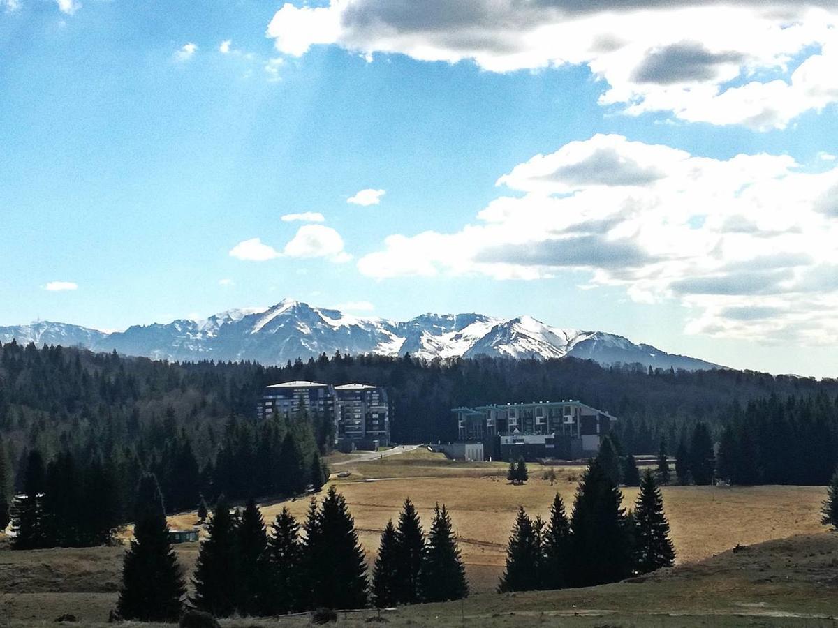 The Evergreen Nest - Silver Mountain Пояна-Брашов Екстер'єр фото